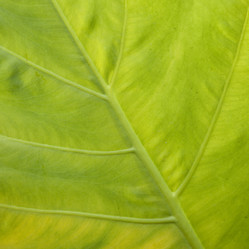 Similar image 8102670