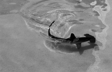 Similar image 8102674