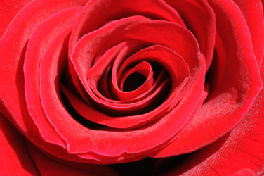 Similar image 8102678