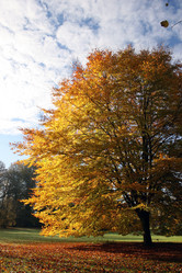 Similar image 8102682