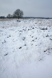 Similar image 8102683