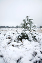 Similar image 8102684