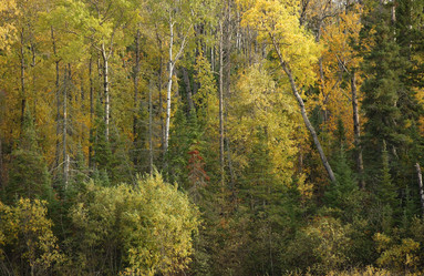 Similar image 8102700