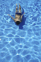 Similar image 8102703