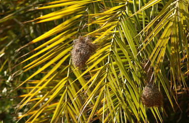 Similar image 8102710