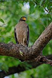 Similar image 8102715