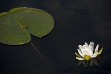 Similar image 8102722