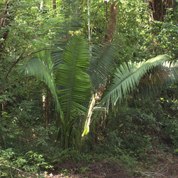 Similar image 8102724