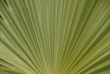 Similar image 8102725