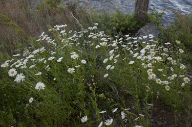 Similar image 8102731