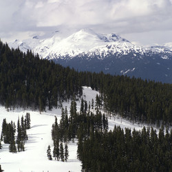 Similar image 8102737