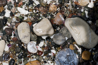 Similar image 8102739