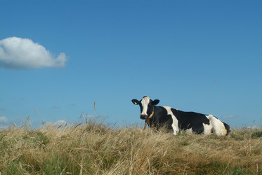 Similar image 8102757