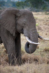 Similar image 8102758