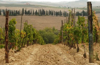 Similar image 8102762