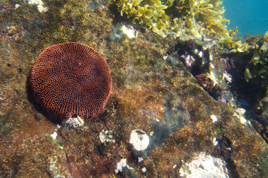 Similar image 8102768