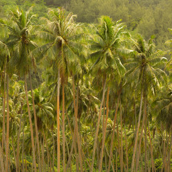 Similar image 8102772