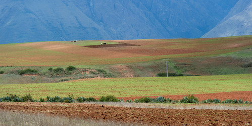 Similar image 8102774