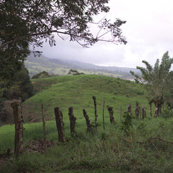 Similar image 8102776