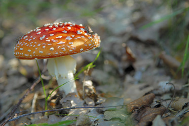 Similar image 8102792