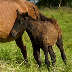 Similar image 8102796