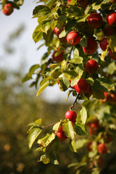 Similar image 8102797