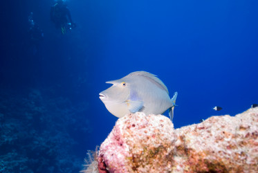 Similar image 8102803