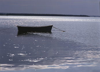 Similar image 8102810