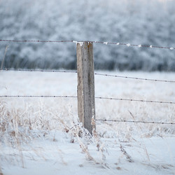 Similar image 8102813