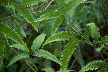 Similar image 8102814