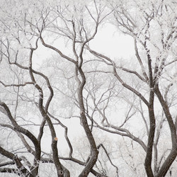 Similar image 8102815