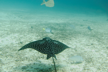 Similar image 8102822