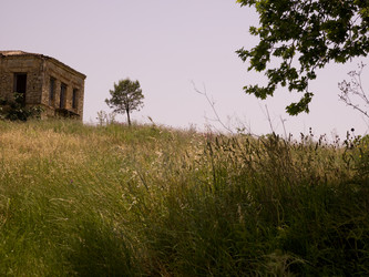 Similar image 8102823