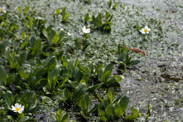 Similar image 8102839