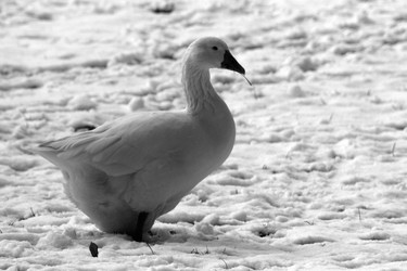 Similar image 8102849