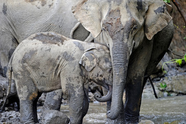 Similar image 8102860