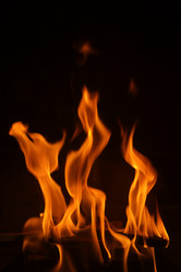 Similar image 8102862