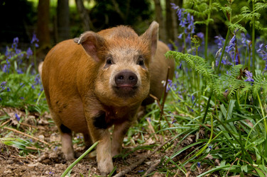 Similar image 8102866