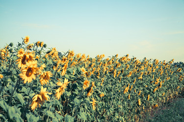 Similar image 8102870