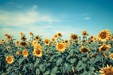 Similar image 8102871