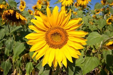 Similar image 8102872