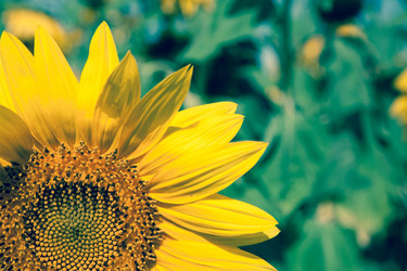 Similar image 8102873