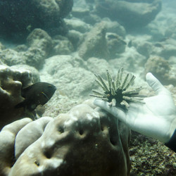 Similar image 8102882