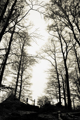 Similar image 8102885