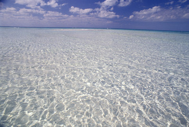 Similar image 8102889