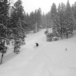 Similar image 8102891