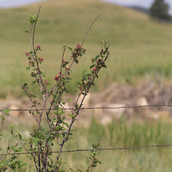 Similar image 8102893