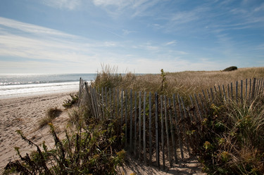 Similar image 8102909