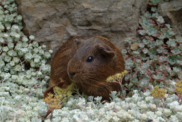 Similar image 8102910