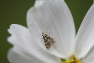 Similar image 8102913